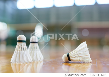 放置在室內運動場地板上的羽球 107831608