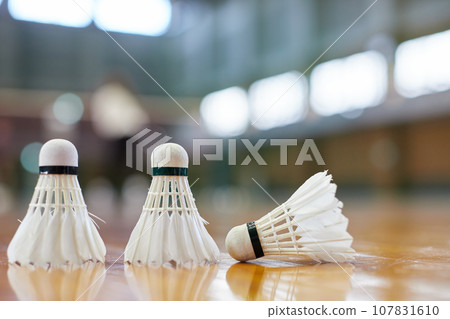 Badminton shuttlecock placed on the floor of an indoor sports field Badminton shuttlecock placed on the floor of an indoor sports field 107831610