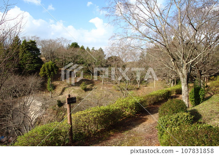 深秋的出雲古墳之丘(島根縣安來市荒島町) 深秋的出雲古墳之丘(島根縣安來市荒島町) 107831858