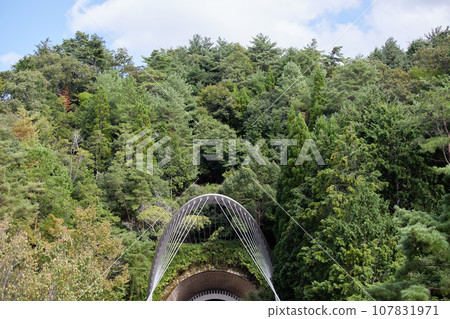 滋賀郡美秀博物館的隧道風景 107831971