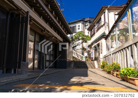 [Kanagawa Prefecture] Back alley of Enoshima 107832702