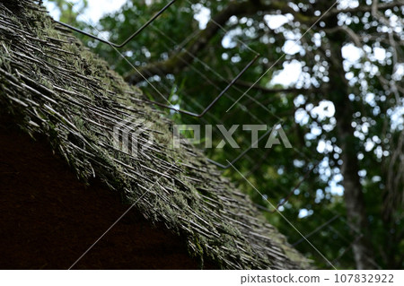 Thatched roof Korai House Hidaka City, Saitama Prefecture 107832922