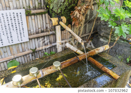 Chokenji Temple Yangasui (Fushimi Ward, Kyoto City) 107832962