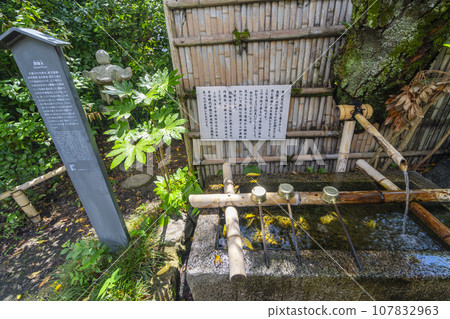 長賢寺楊阿水(京都市伏見區) 長賢寺楊阿水(京都市伏見區) 107832963