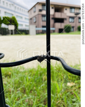 A stink bug larva moves along a fence in a park A stink bug larva moves along a fence in a park 107833564