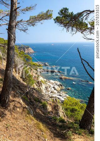 View of cove in Palamos, Costa Brava, Girona. Spain 107833815