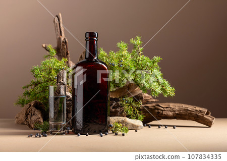 Blue gin on a background of old snags and juniper branches. Blue gin on a background of old snags and juniper branches. 107834335