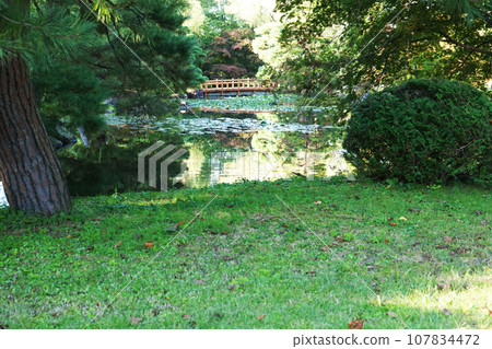 日本花園裡寧靜的秋日午後 日本花園裡寧靜的秋日午後 107834472