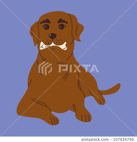 Dog with toys for brushing or massaging teeth. Dog dental health. Canine dental care and hygiene concept. Vector illustration Dog with toys for brushing or massaging teeth. Dog dental health. Canine dental care and hygiene concept. Vector illustration 107834780