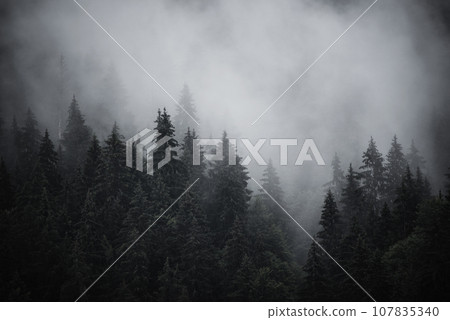 Misty mountain landscape 107835340