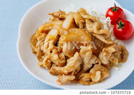 烤豬肉薑 烤豬肉薑 107835728