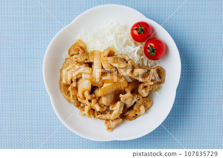 薑烤豬肉,俯視圖 薑烤豬肉,俯視圖 107835729
