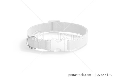 Blank white dog collar with plastic buckle mockup, side view Blank white dog collar with plastic buckle mockup, side view 107836189