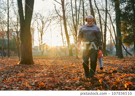 Confident cleaning service man removing fallen leaves from lawn during autumn season. Low angle view of senior handsome municipal worker operating dry leaves at sunny morning. Seasonal work concept. Confident cleaning service man removing fallen leaves from lawn during autumn season. Low angle view of senior handsome municipal worker operating dry leaves at sunny morning. Seasonal work concept. 107836510