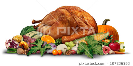 Thanksgiving Turkey On White Thanksgiving Turkey On White 107836593