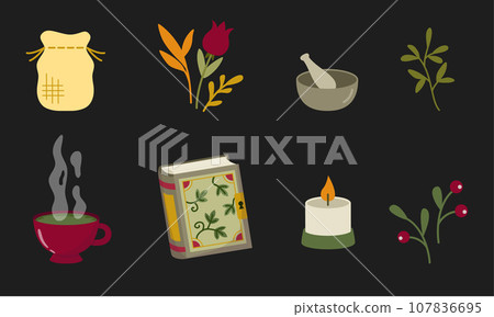 Herbology set design elements. Medical, magical herbs and tools in a cartoon flat style. Vector illustration 107836695