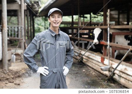 Cowshed and male worker Cowshed and male worker 107836854