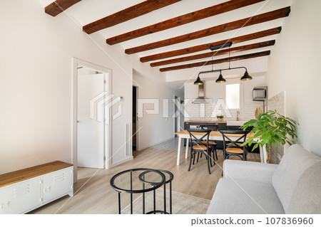 Cozy living room adjacent with kitchen in studio apartment 107836960