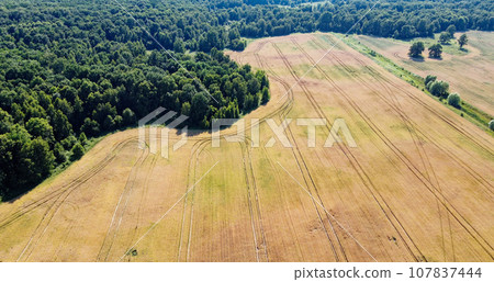 A large farm field near a green forest, aerial view. Scenery. A large farm field near a green forest, aerial view. Scenery. 107837444