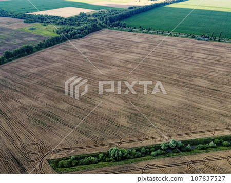 An old irrigation canal overgrown with trees among a wheat field, aerial view. Dry irrigation canal in the field, landscape. An old irrigation canal overgrown with trees among a wheat field, aerial view. Dry irrigation canal in the field, landscape. 107837527