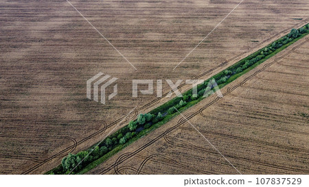 An old irrigation canal overgrown with trees among a wheat field, aerial view. Dry irrigation canal in the field, landscape. 107837529