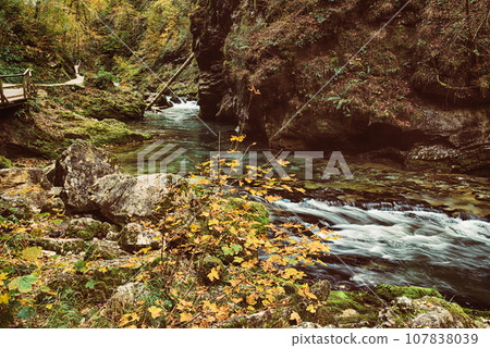 Vintgar gorge, Slovenia 107838039