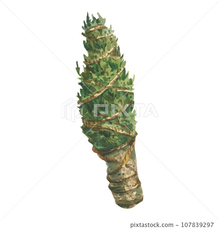 Bouquet of rosemary for smudging and fortune telling, painted in green watercolor on a white background. Suitable for printing on fabric, paper, scrapbooking holiday decoration, design 107839297