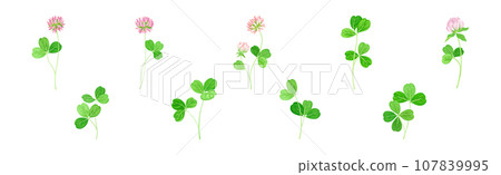 Clover Flower on Stem with Green Leaf Vector Set Clover Flower on Stem with Green Leaf Vector Set 107839995