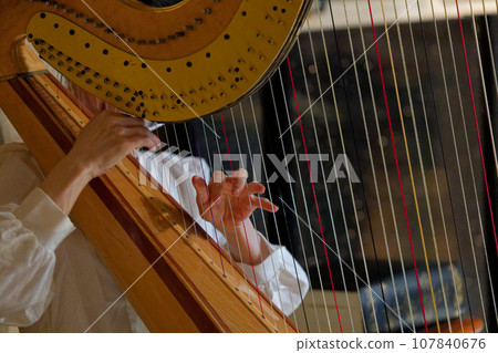 彈豎琴的人 彈豎琴的人 107840676