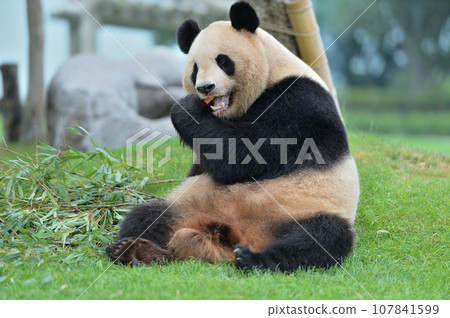 吉濱美味地吃點心 107841599