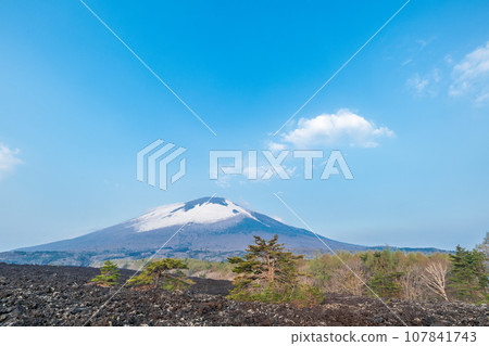 岩手縣各地分佈著冰冷、凝固的黑色岩石的八幡平八幡尻熔岩流 107841743