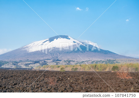 岩手縣各地分佈著冰冷、凝固的黑色岩石的八幡平八幡尻熔岩流 岩手縣各地分佈著冰冷、凝固的黑色岩石的八幡平八幡尻熔岩流 107841750