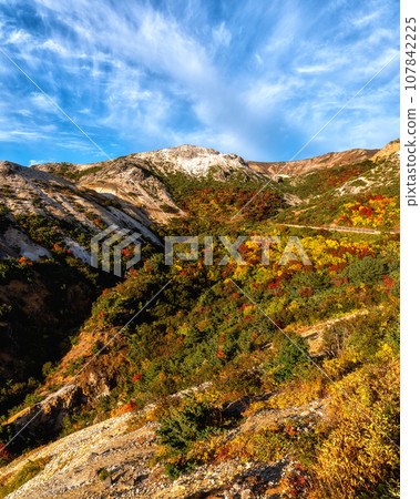 Fukushima Prefecture, Bandai Azuma Skyline at the peak of autumn leaves Fukushima Prefecture, Bandai Azuma Skyline at the peak of autumn leaves 107842225