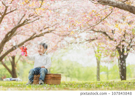Children sitting and playing under the cherry blossoms 107843848