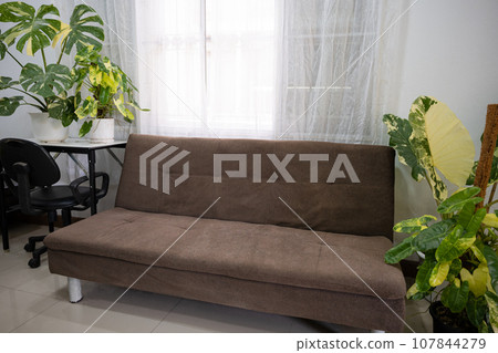 Defocused home interior design, Home decor with fabric sofa brown color and green houseplants, Green plants in pot nearing sofa in living room at home 107844279