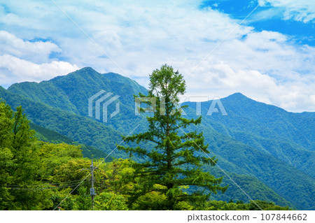 從三峰神社參道眺望、雲取山、白岩山、仲夏風景、秩父市 107844662