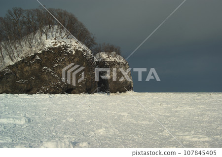 Drift ice fills the cove Drift ice fills the cove 107845405