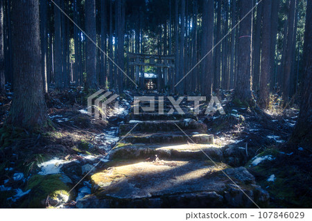 Photographing the quiet Kamo Shrine located in Keihoku-cho, Ukyo-ku, Kyoto City 107846029