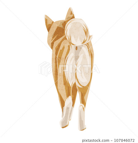 Shiba Inu walking back view hand-drawn watercolor style illustration 107846072