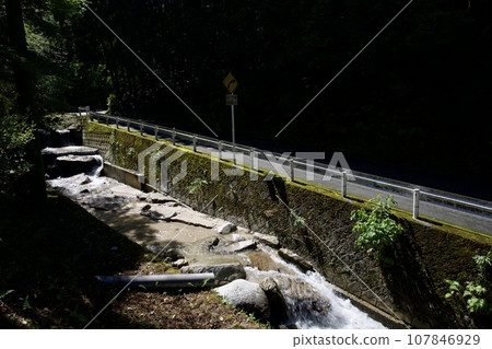 River near Ushikubi Forest Road (Oonojo City, Fukuoka Prefecture) 107846929