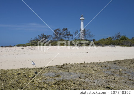 New Caledonia, Amedee Island, Amedee Lighthouse New Caledonia, Amedee Island, Amedee Lighthouse 107848392