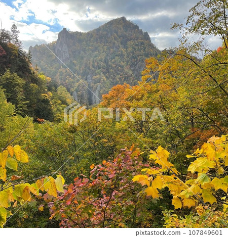 豐平峽秋葉 豐平峽秋葉 107849601