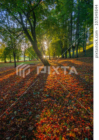 Autumn landscape in Birstonas, Lithuania Autumn landscape in Birstonas, Lithuania 107849844