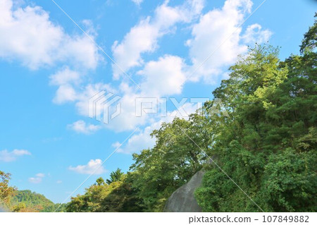 Calm scenery seen from the mountain road on an autumn day 107849882