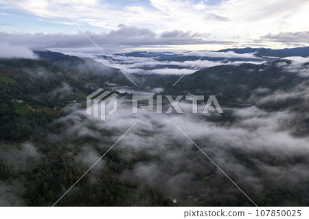 Top view Landscape of Morning Mist with Mountain Layer Top view Landscape of Morning Mist with Mountain Layer 107850025