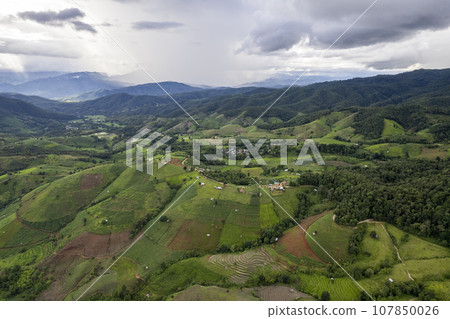 Top view Terraced rice field at Mae Cham Chiangmai Northern Thailand 107850026