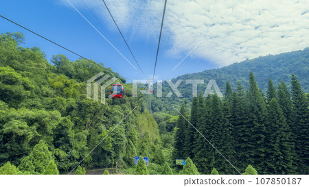 Sun Moon Lake Ropeway: A walk through the lush forest / Sun Moon Lake, Taiwan Sun Moon Lake Ropeway: A walk through the lush forest / Sun Moon Lake, Taiwan 107850187