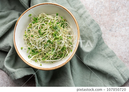 Microgreens grown in a jar. 107850720