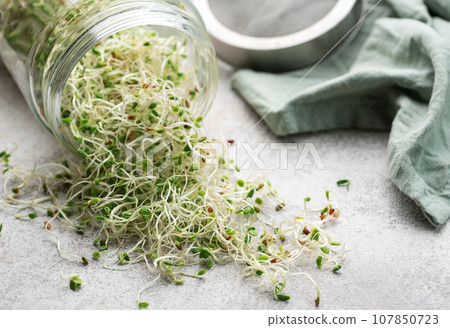 Microgreens grown in a jar. Microgreens grown in a jar. 107850723