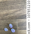 Spring memories cherry blossom petals vertical 107851210